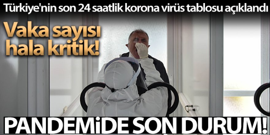 Türkiye'de son 24 saatte 237 kişi hayatını kaybetti