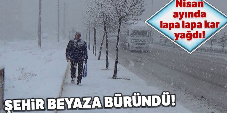 Erzurum ilkbaharda yeniden beyaza büründü