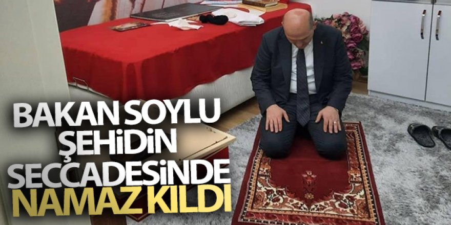 Bakan Soylu şehidin seccadesinde namaz kıldı