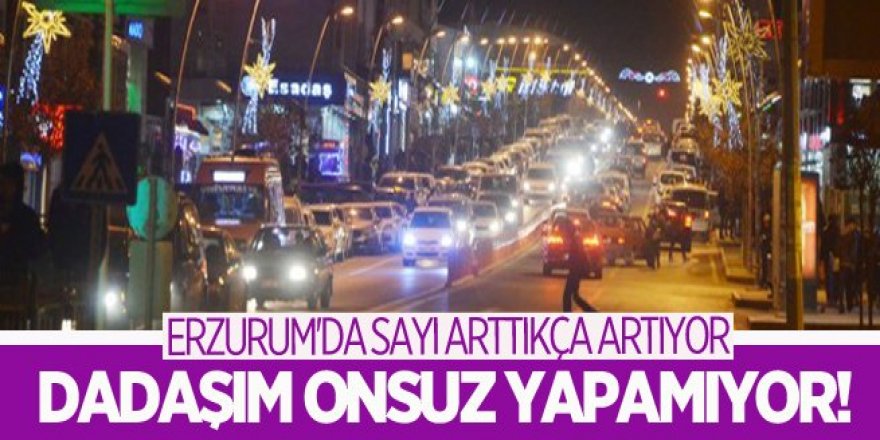 Erzurum’da araç sayısı kaç oldu...