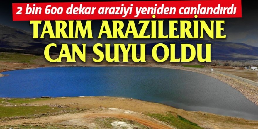 Tarım arazilerine can suyu oldu...