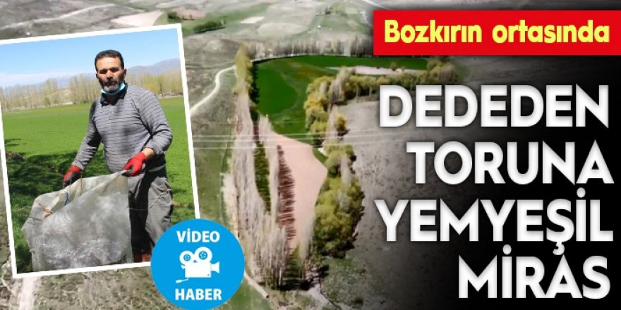 Erzurum'da dedesinden miras kaldı 'P' harfini andırıyor: TIR dolusu para verseler satmam