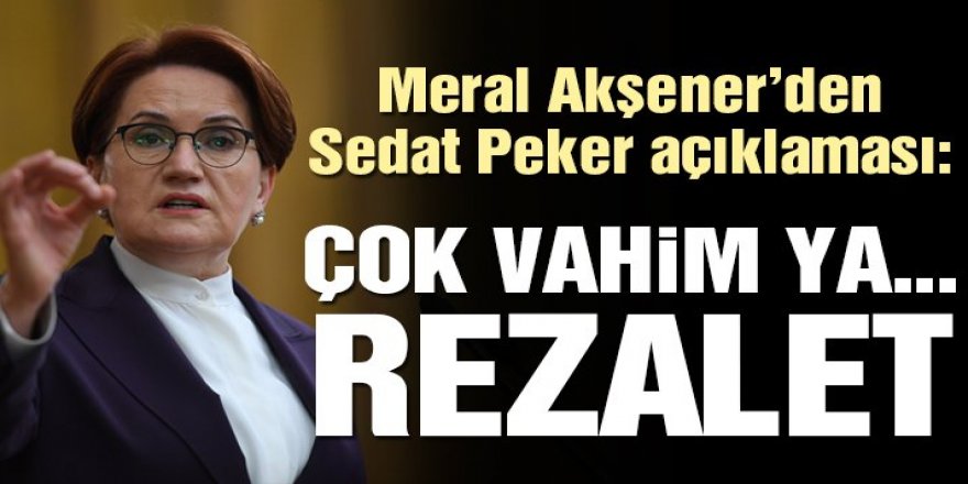 Meral Akşener’den Sedat Peker açıklaması: Çok vahim, rezalet