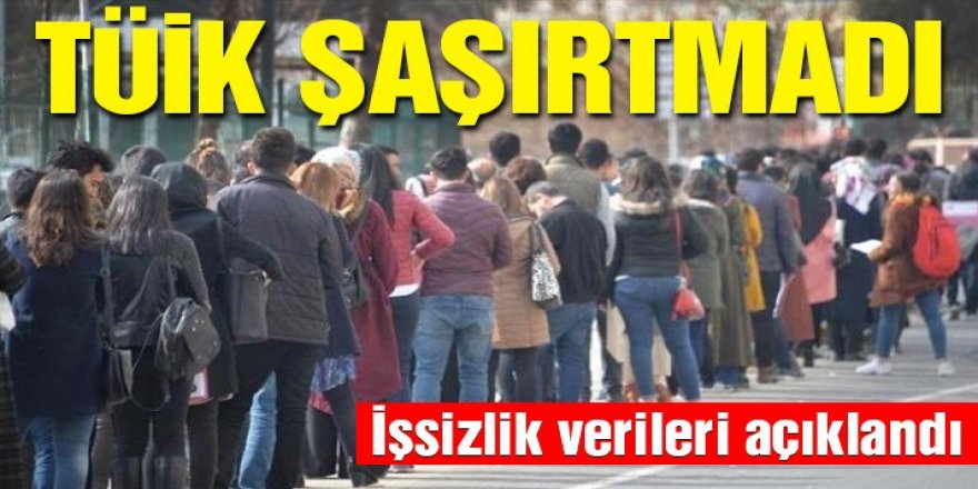 TÜİK: İşsizlik oranı azaldı