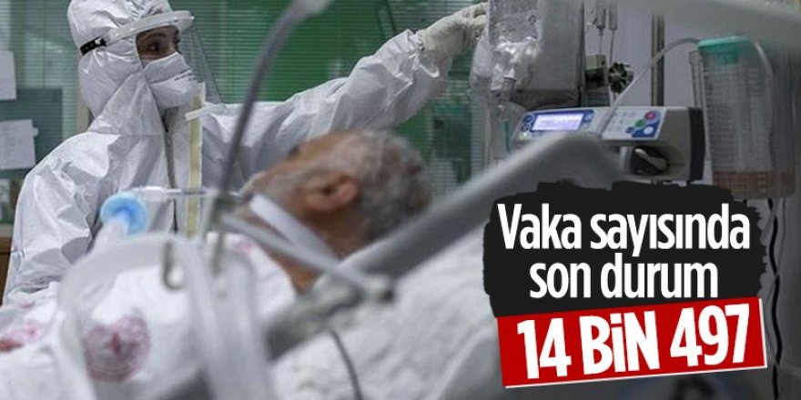 11 Mayıs Türkiye'de koronavirüs tablosu