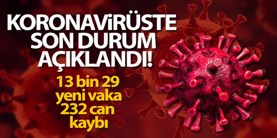 Türkiye'de son 24 saatte 13.029 koronavirüs vakası tespit edildi