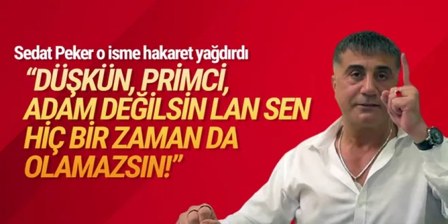 Sedat Peker'den Abdulkadir Selvi'ye ağır hakaret