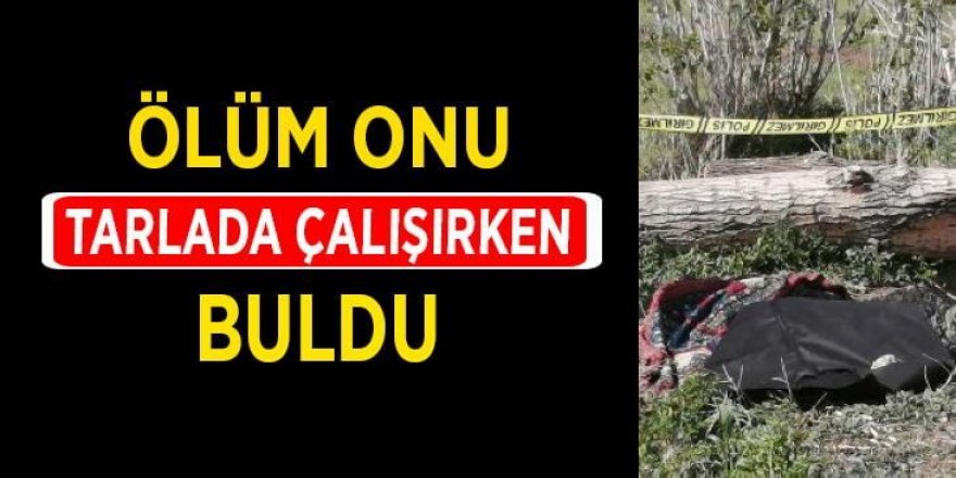 Erzurum'da yaşlı adamı ölüm tarlada yakaladı