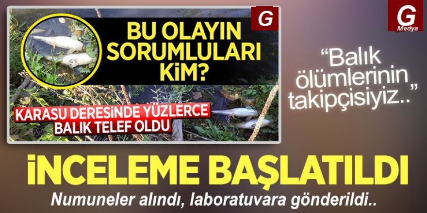 Erzurum'daki balık ölümleri için inceleme başlatıldı