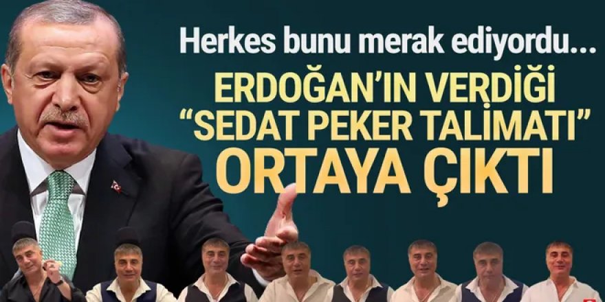 Erdoğan'ın Sedat Peker'in videolarına yaptığı yorum ortaya çıktı
