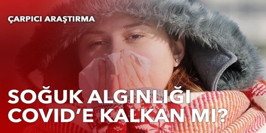 Çarpıcı araştırma: Soğuk algınlığı Covid'e kalkan mı?