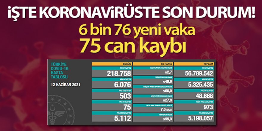 Türkiye'de son 24 saatte 6.076 koronavirüs vakası tespit edildi