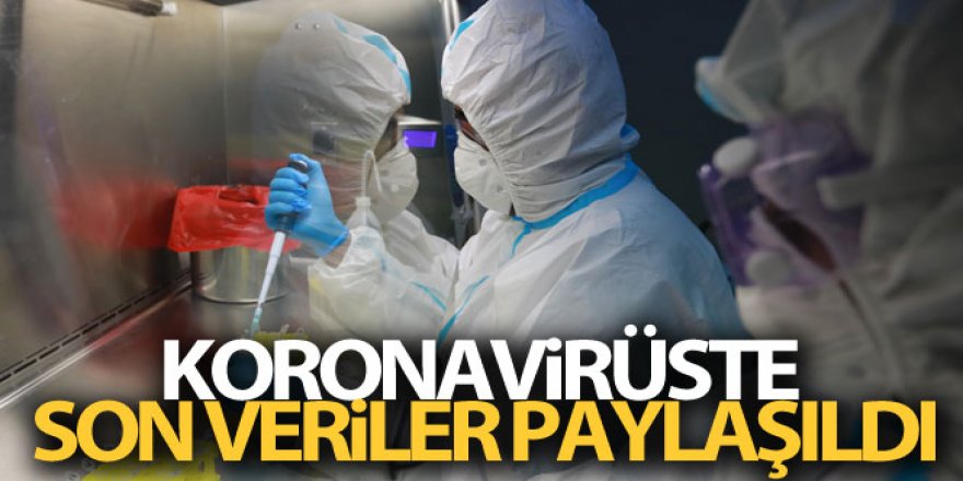 Koronavirüste son veriler paylaşıldı