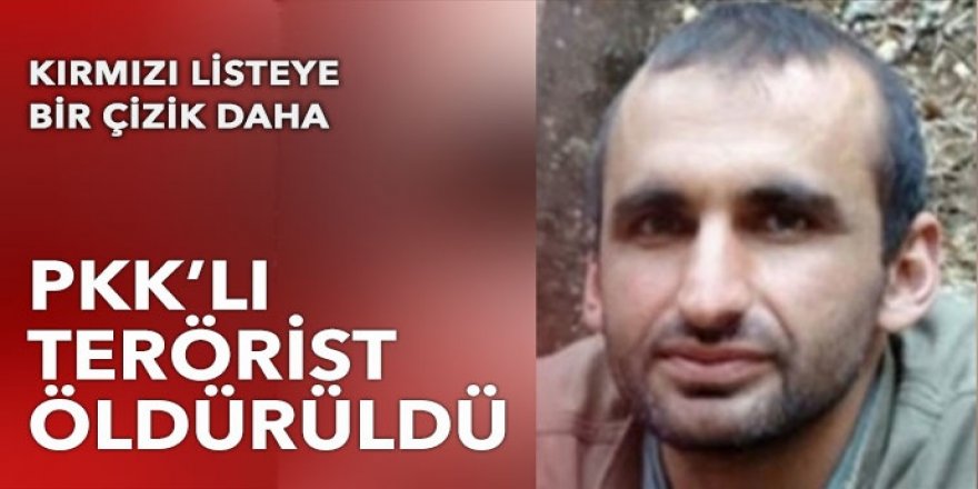 Kırmızı bültenle aranıyordu: PKK'lı Ulaş Doğan etkisiz hale getirildi