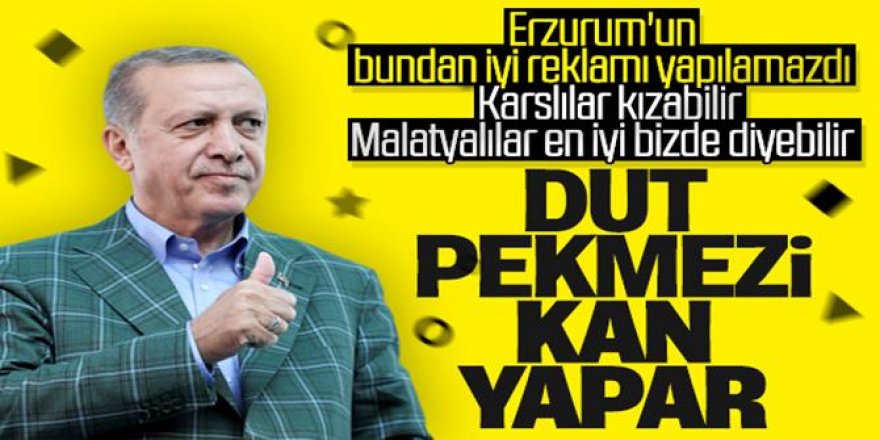 Cumhurbaşkanı Erdoğan'dan dut pekmezi tavsiyesi