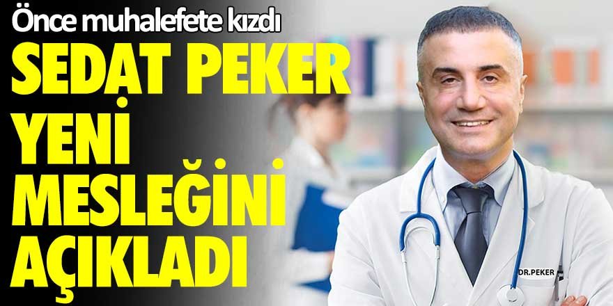 Önce muhalefete kızdı... Sedat Peker yeni mesleğini açıkladı
