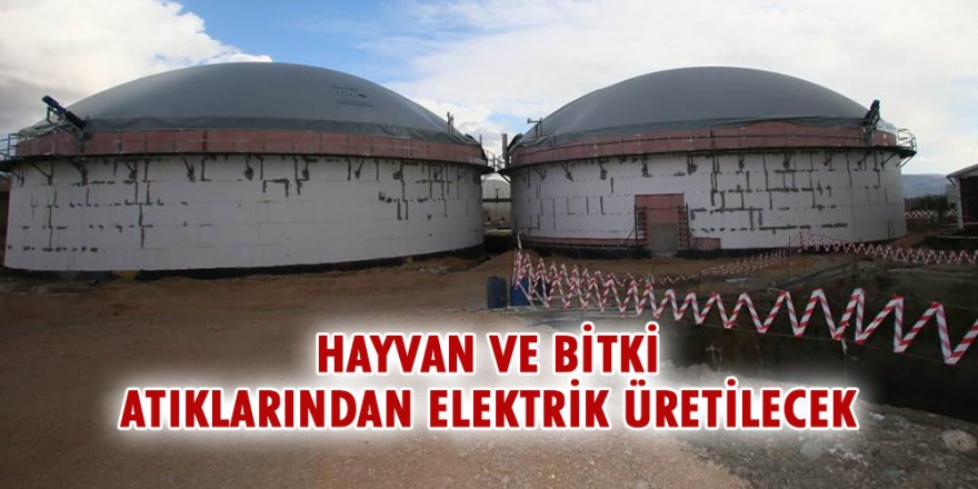 Erzurum’da hayvan ve bitki atıklarından elektrik üretecek