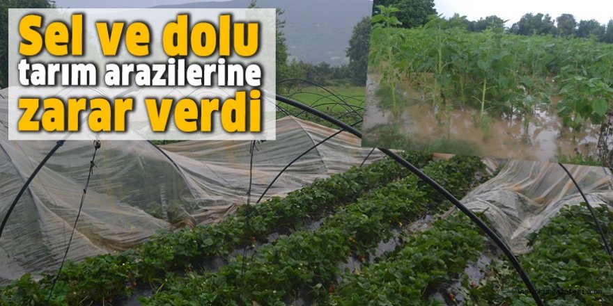 Erzurum'da Sel ve dolu seralarda zarara neden oldu