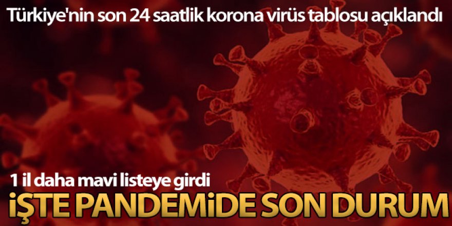 Son 24 saatte korona virüsten 35 kişi hayatını kaybetti