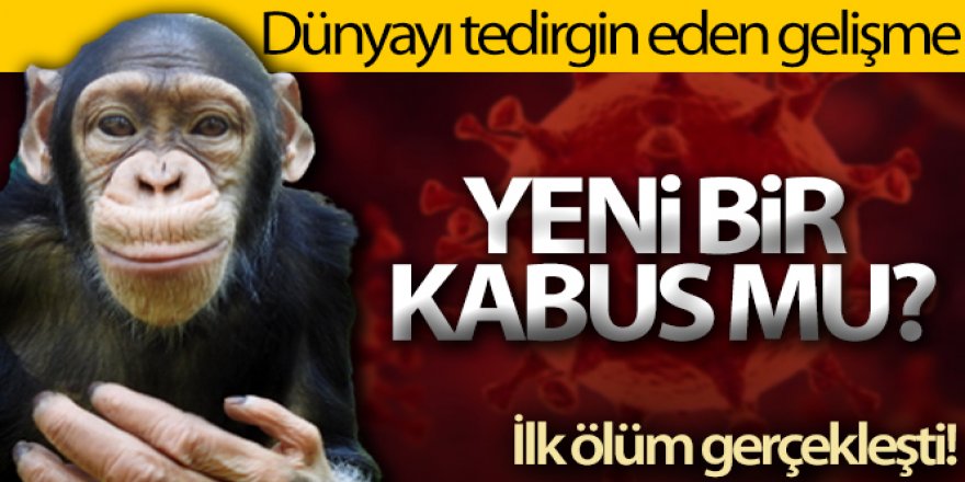 Çin, 'Monkey B' virüsünden ilk can kaybını bildirdi