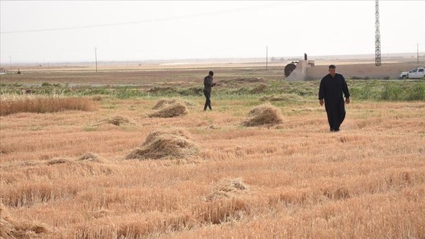 Hükümet harekete geçti! Kuraklığa karşı çiftçiyi koruma planı devrede