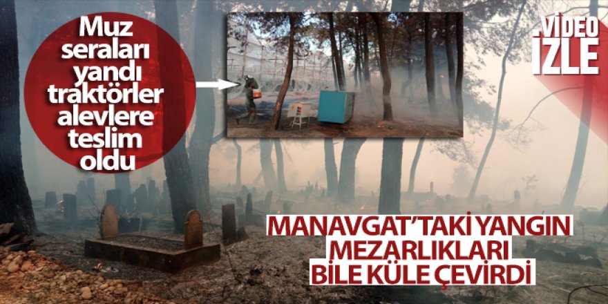 Manavgat'taki yangın mezarlıkları bile küle çevirdi