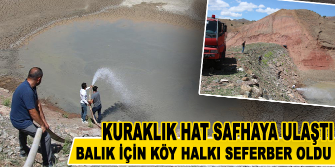 Kuraklık hat safhaya ulaştı, 10 bin balık için köy halkı seferber oldu