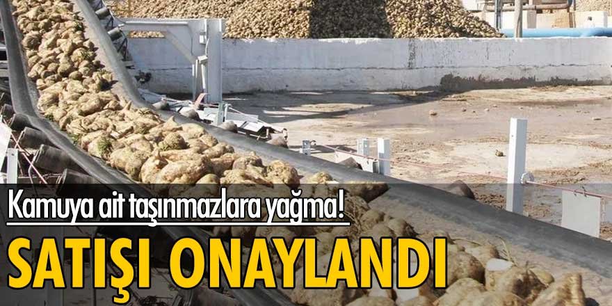 Kamuya ait taşınmazlara yağma!