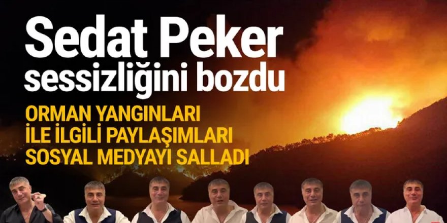 Sedat Peker paylaşımlarıyla geri döndü! Orman yangınları için dikkat çeken ifadeler