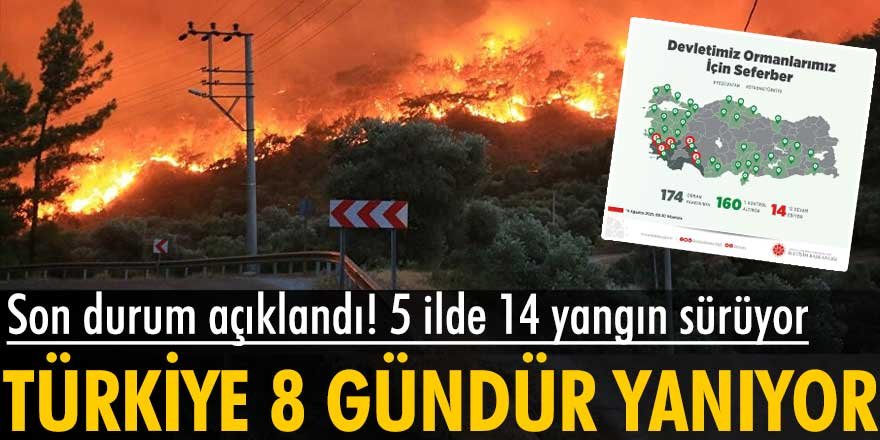Türkiye'de orman yangınlarının 8'inci gününde son durum