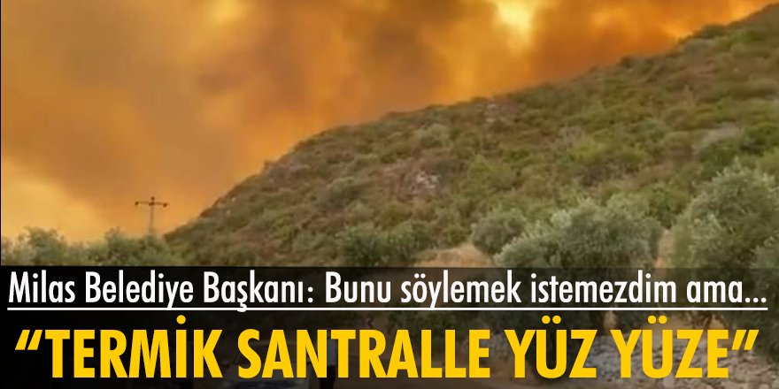 Muğla Milas yangınlara teslim: Belediye başkanı isyan etti