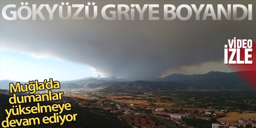 Muğla'da yükselen dumanlar gökyüzünü griye boyadı