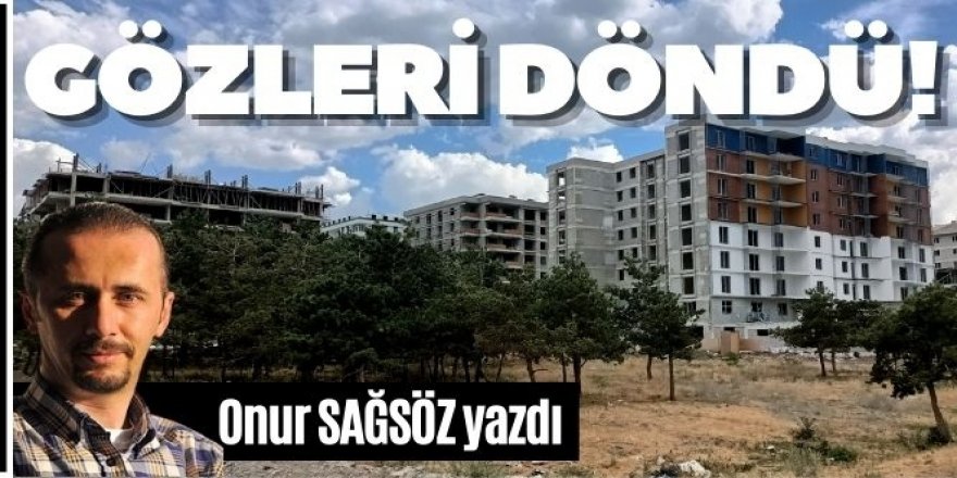 Erzurum'da Büyükşehir katliamı: Gözleri döndü!