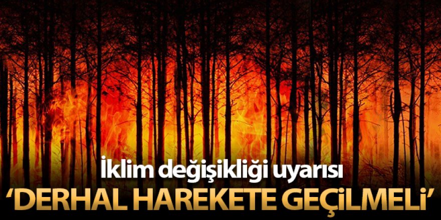 IPCC uyardı: 'İklim değişikliğini sınırlandırmak için derhal harekete geçilmeli'