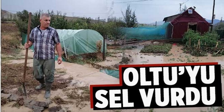 Sel Oltu’da seralara zarar verdi