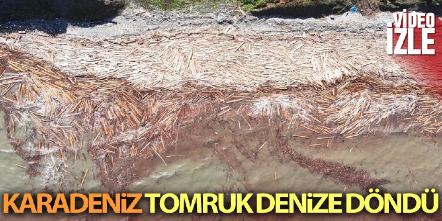 Karadeniz 'tomruk deniz' oldu