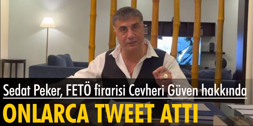 Sedat Peker, FETÖ firarisi Cevheri Güven hakkında onlarca tweet attı