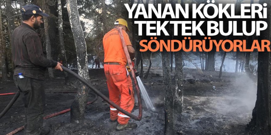 Yanan kökleri tek tek bulup söndürüyorlar