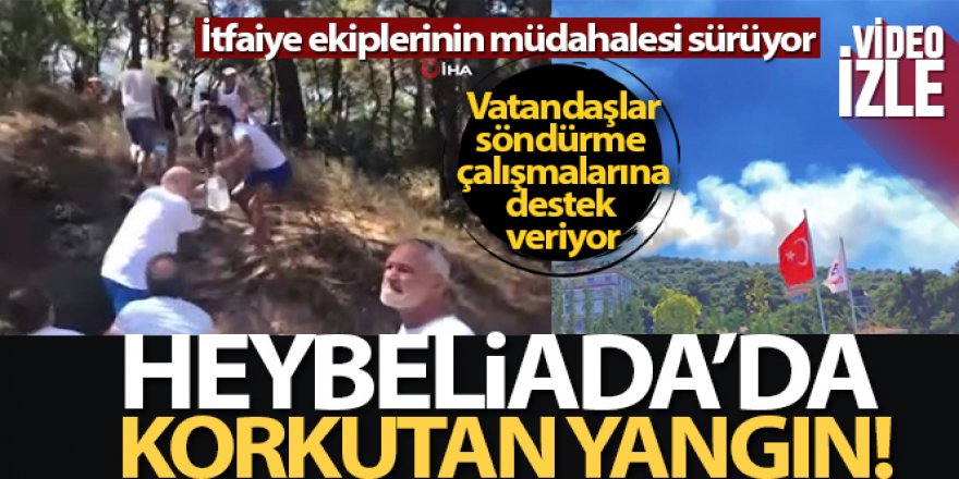 Heybeliada'da ormanlık alanda yangın çıktı