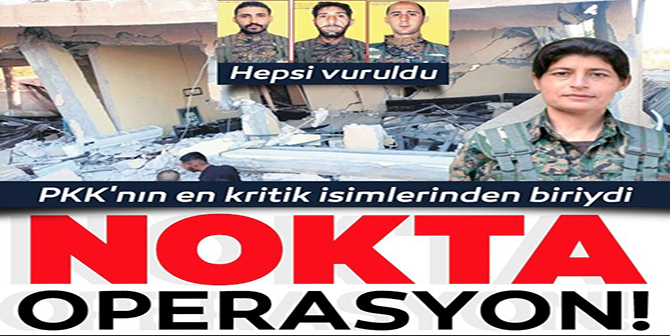 Terör örgütü PKK'ya nokta operasyon: Hepsi vuruldu