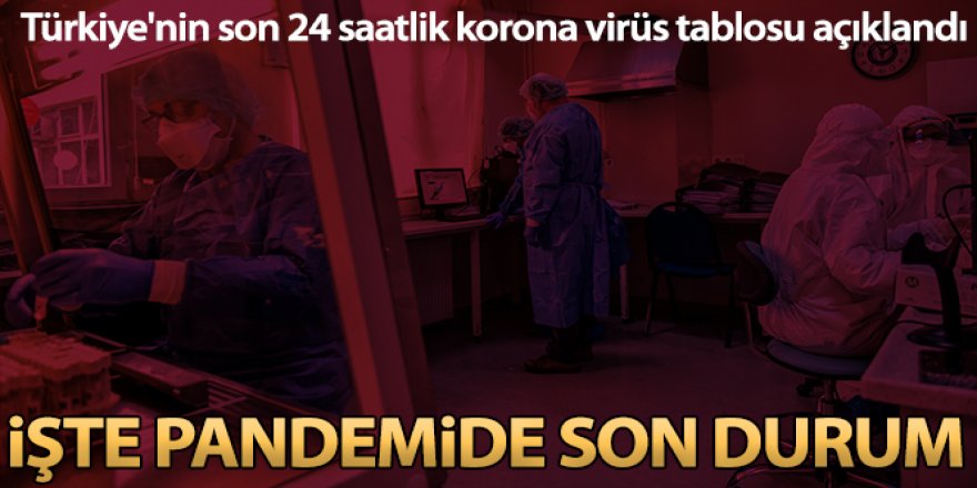 Son 24 saatte korona virüsten 230 kişi hayatını kaybetti