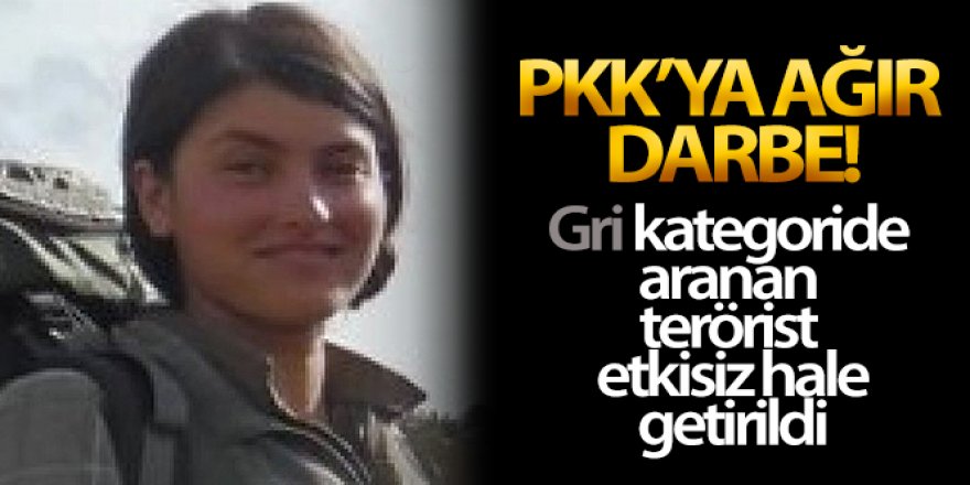 PKK'ya ağır darbe: 500 bin lira ödülle aranan terörist etkisiz hale getirildi