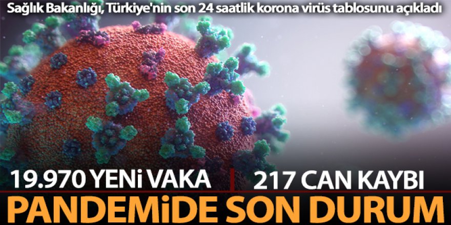 Türkiye'nin son 24 saatlik korona virüs tablosunu açıkladı