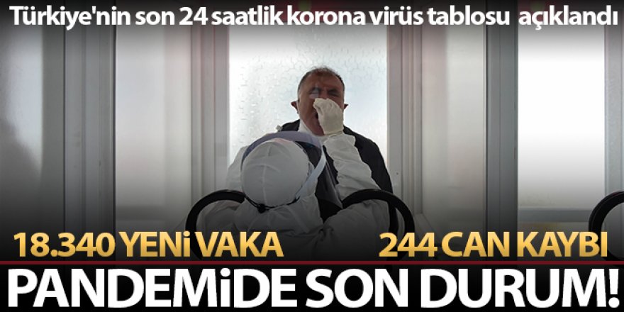 Son 24 saatte korona virüsten 244 kişi hayatını kaybetti