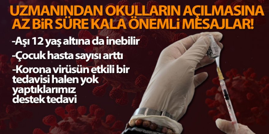 Prof. Dr. Taşova: 'Aşı 12 yaş altına da inebilir'...