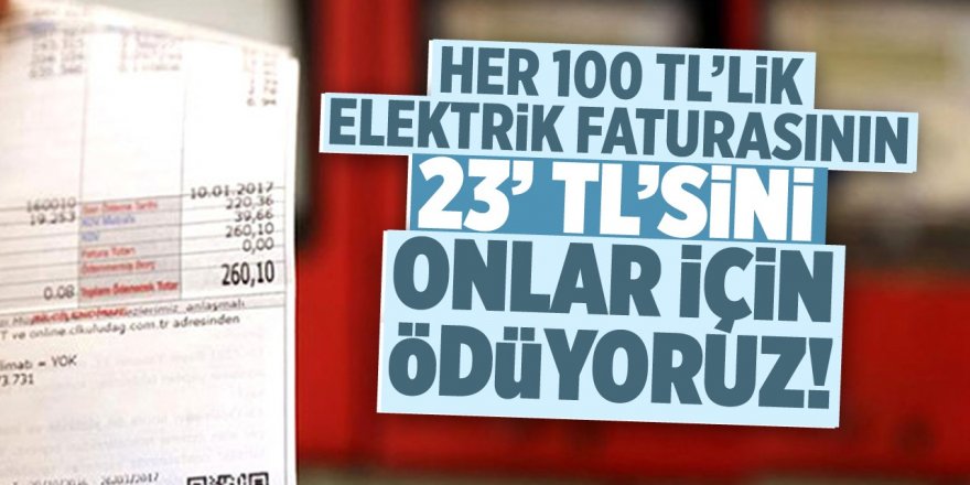 100 liralık elektrik faturasının bakın ne kadar şirketlere gidiyor