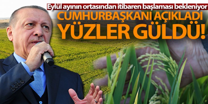 Cumhurbaşkanı açıkladı, çeltik üreticilerinin yüzü güldü