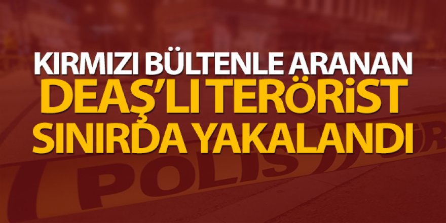 DEAŞ'lı terörist yakalandı