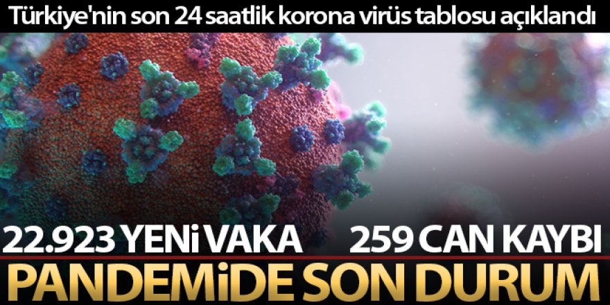 Son 24 saatte korona virüsten 259 kişi hayatını kaybetti