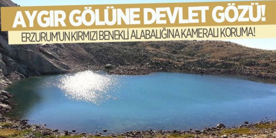 Aygır Gölüne kameralı koruma!